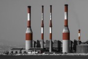 培养基种类全解析，从基础到高端，带你了解生命科学的土壤