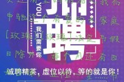国金新能源招聘