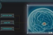 深玛网络科技有限公司
