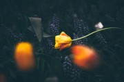 科技点亮生活，美感无限延伸