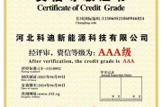 博州新能源汽车规划