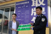 天津红桥新能源车上牌地点