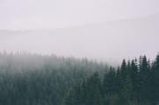探寻自然界的柔软奇迹—最软的石头是什么？