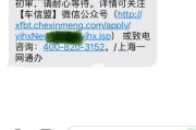 上海新能源车牌申请指南