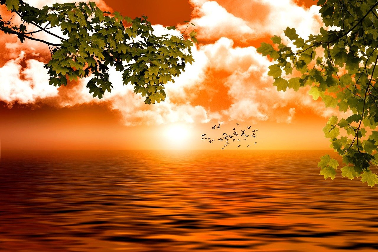 任贤齐之歌,男子海边救人,感恩之行 任贤齐之歌,男子海边救人,感恩之行