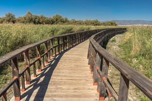 科技视角下的旅行新体验,探访孤柏渡飞黄旅游区 科技视角下的旅行新体验,探访孤柏渡飞黄旅游区