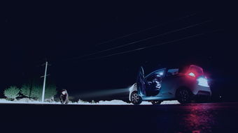 比亚迪因起火风险紧急召回近10万辆汽车，安全至上，品质为先