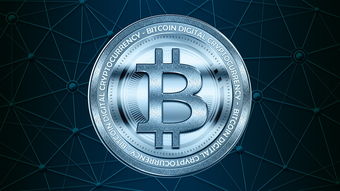2023年度网络小说排行榜，探索虚拟与现实的交界处