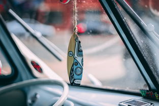 小伙车内硬核摆件大揭秘 小伙车内硬核摆件大揭秘