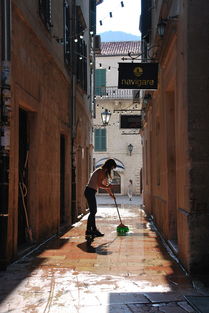 女子马路上直播遭遇车祸,肇事车逃逸——一场悲剧的背后与反思 女子马路上直播遭遇车祸,肇事车逃逸——一场悲剧的背后与反思