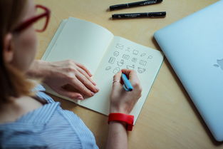 生男生女预测表,科学还是迷信? 生男生女预测表,科学还是迷信?