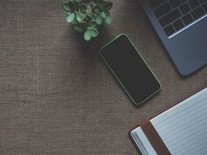 马斯克,苹果若作恶,特斯拉就造手机——科技巨头间的博弈与未来展望 马斯克,苹果若作恶,特斯拉就造手机——科技巨头间的博弈与未来展望