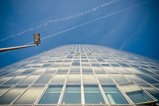 铁粉价格波动与科技市场影响分析 铁粉价格波动与科技市场影响分析