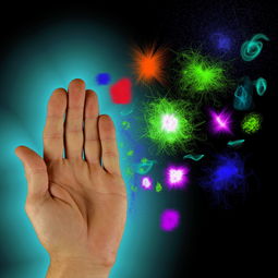 细胞保护的守护者 细胞保护的守护者