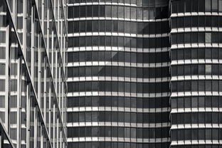 豆油价格行情分析与未来趋势预测 豆油价格行情分析与未来趋势预测