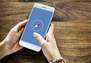 解锁互联网世界的隐藏地图 解锁互联网世界的隐藏地图