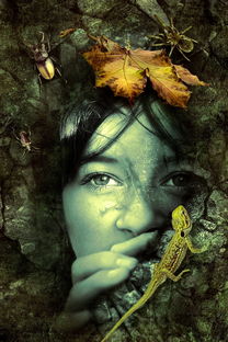 揭开流体世界的神秘面纱