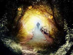 探索光影世界,摄影学校的魅力与魔法 探索光影世界,摄影学校的魅力与魔法