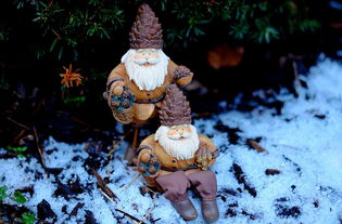 探索光影艺术,中国摄影网的奥秘与魅力 探索光影艺术,中国摄影网的奥秘与魅力