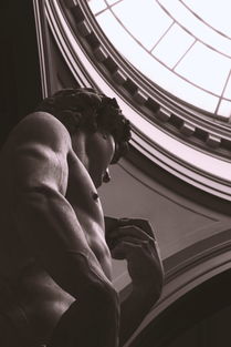 摄影技巧,捕捉瞬间之美的艺术 摄影技巧,捕捉瞬间之美的艺术