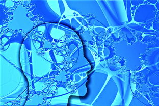 科学与幻想的交汇 科学与幻想的交汇