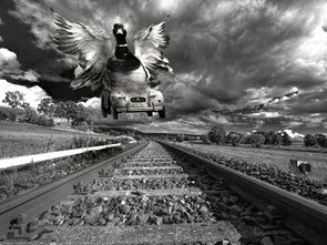 那些年我们追过的经典 那些年我们追过的经典