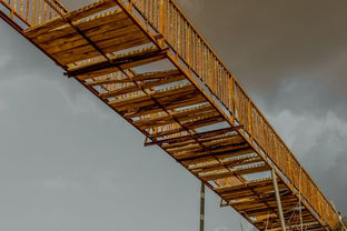 连接无机与有机世界的桥梁