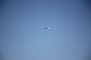 轻松掌控图像编辑的艺术 轻松掌控图像编辑的艺术