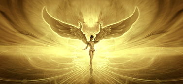 航海者的秘密武器 航海者的秘密武器