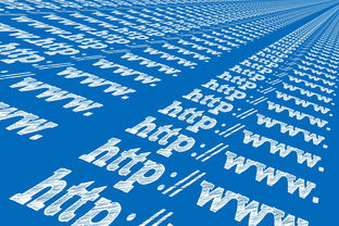 保护您的数字世界