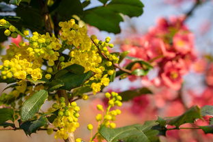 种下未来的种子 种下未来的种子