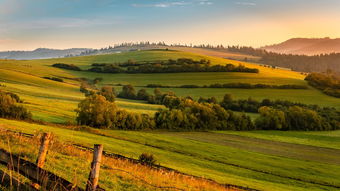 从数学到艺术与自然的完美融合 从数学到艺术与自然的完美融合
