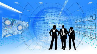 揭秘网络文件服务器，轻松管理数字资产的得力助手