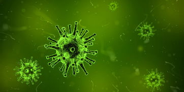 培养基种类全解析，从基础到高级，全面了解微生物和细胞生长的土壤