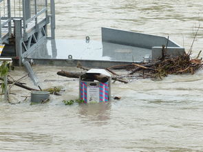 东海大地震，了解地震灾害，守护生命安全