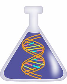 色谱样品瓶，实验室中的小宇宙