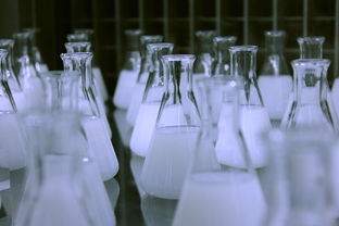 细胞培养瓶，生命科学的微缩实验室