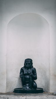 探索人文摄影家的艺术世界，捕捉生活的真实与情感