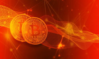 开启数字时代新技能的大门