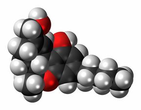 高瘦男性为何易患气胸，探究背后的科学原理与预防策略