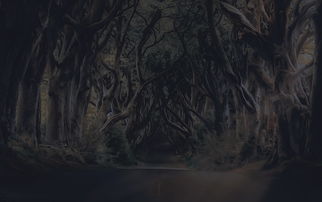 陈桥兵变，历史迷雾中的权力游戏与科技视角下的重新解读