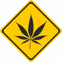 盐酸氯苯胍—守护健康的隐形盾牌