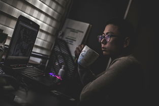 深入解析600503股票，投资价值与市场动态