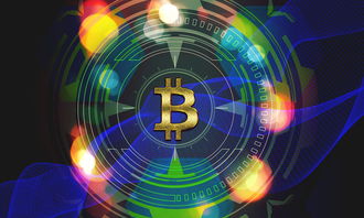 启明信息技术，照亮数字化转型之路