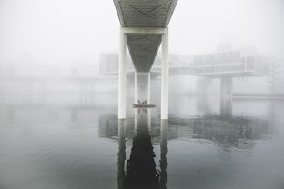 爱建集团，构筑未来的桥梁