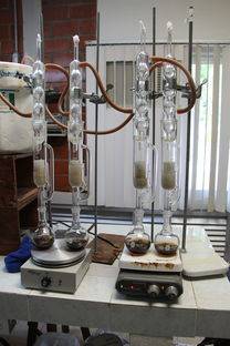 探索培养基的种类与应用—为微生物打造理想家园