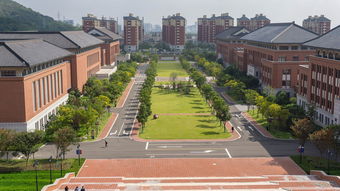 探索浙江摄影教育，学校选择与学习路径