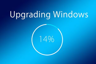 Vista驱动，Windows Vista系统的核心支柱，你真的了解它吗？