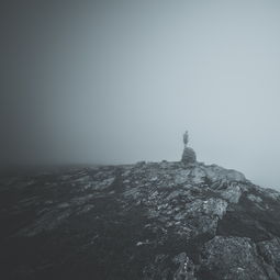 展望未来：十年科技人生路