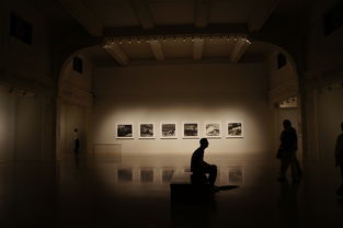 科技融入笔端，生活如画展现